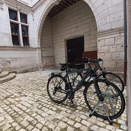 Apartmán L'ame De La Renaissance Plumereau - Parking Prive Tours