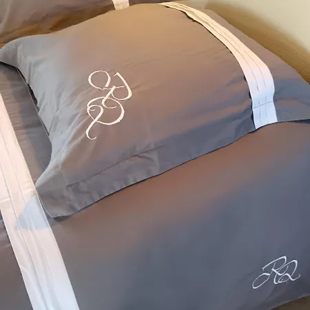 Apartment L'ame De La Renaissance Plumereau - Parking Prive Tours