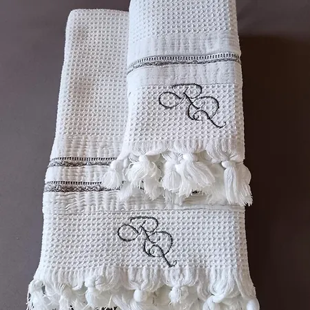 L'ame De La Renaissance Plumereau - Parking Prive Apartment *