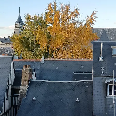 L'ame De La Renaissance Plumereau - Parking Prive Tours