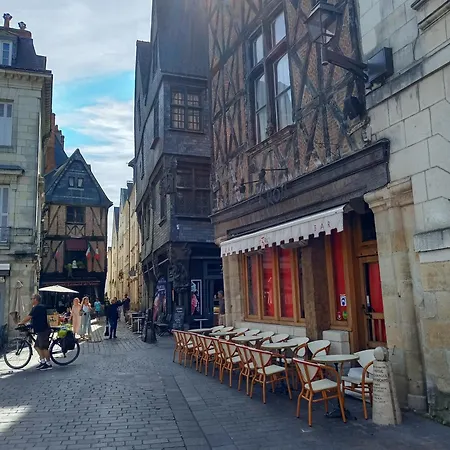 Apartment L'ame De La Renaissance Plumereau - Parking Prive Tours