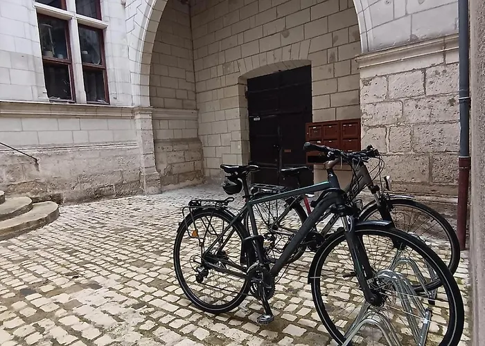 Appartamento L'âme De La Renaissance Plumereau - Parking Privé Tours