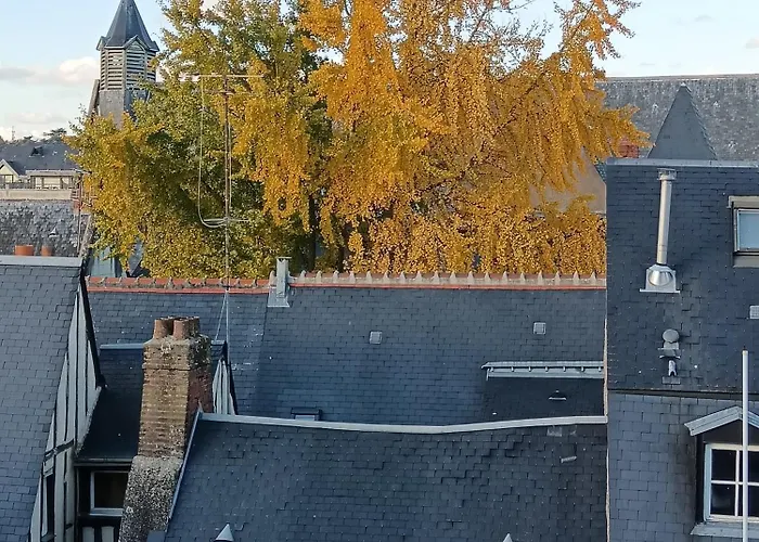 L'âme De La Renaissance Plumereau - Parking Privé Tours